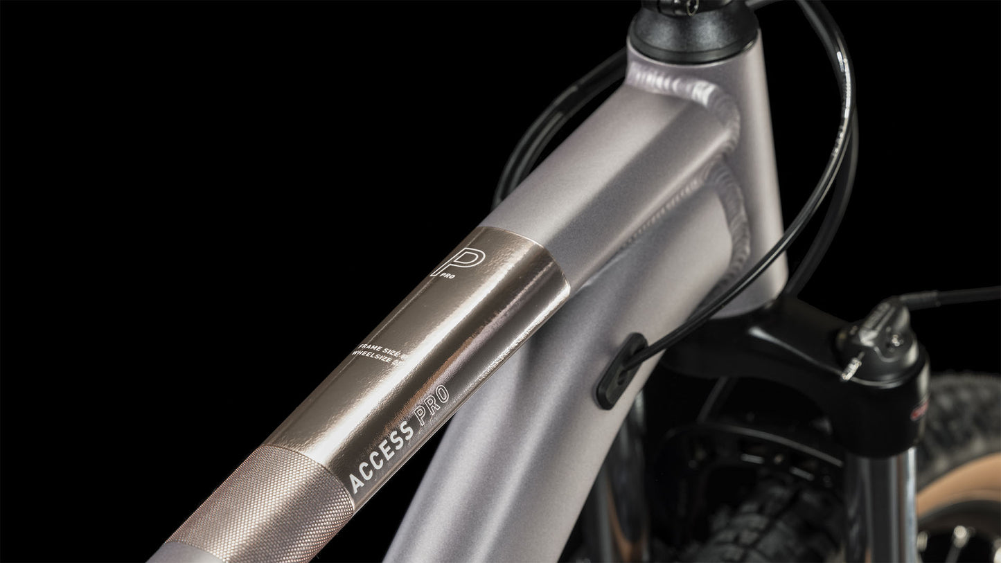 Cube Access WS Pro
